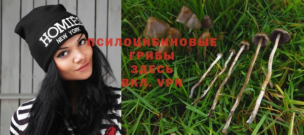 амф Зеленодольск