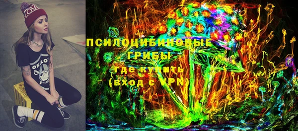 не бодяженный Заводоуковск