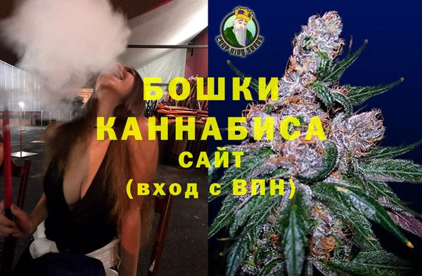 не бодяженный Заводоуковск