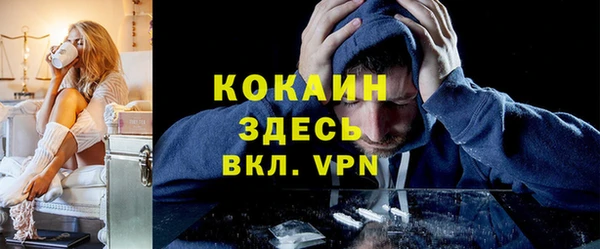 не бодяженный Заводоуковск