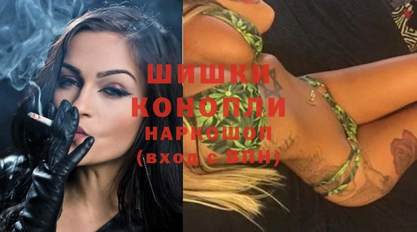 не бодяженный Заводоуковск