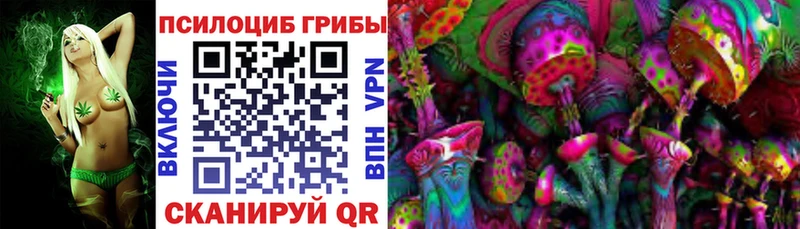 Галлюциногенные грибы Cubensis Саяногорск