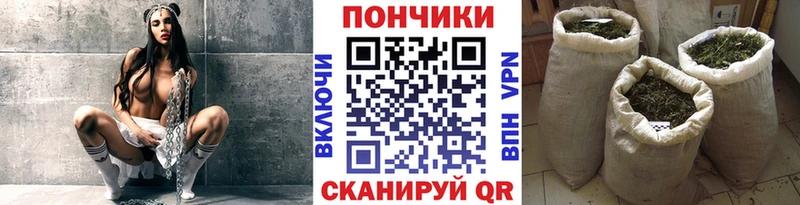 Купить закладки Саяногорск Бошки марихуана семена